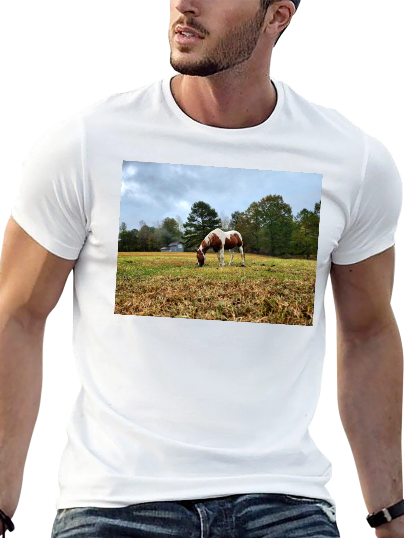 Horse Meadow Graphic T-Shirt