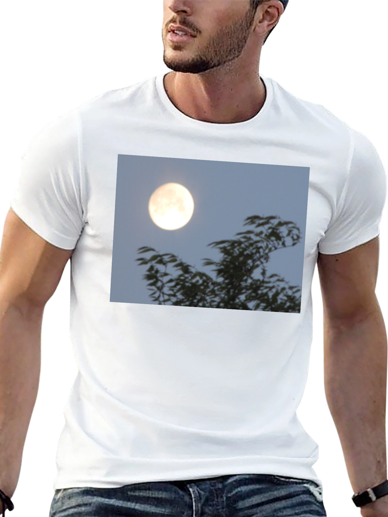 Moonlit Trees Graphic Tee - Black Cotton T-Shirt