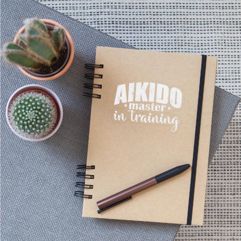 Aikido Master in Training Martial Arts