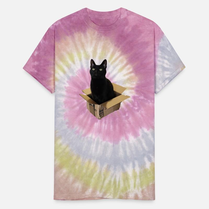 Cat Box - Black Cat sitting in a small box