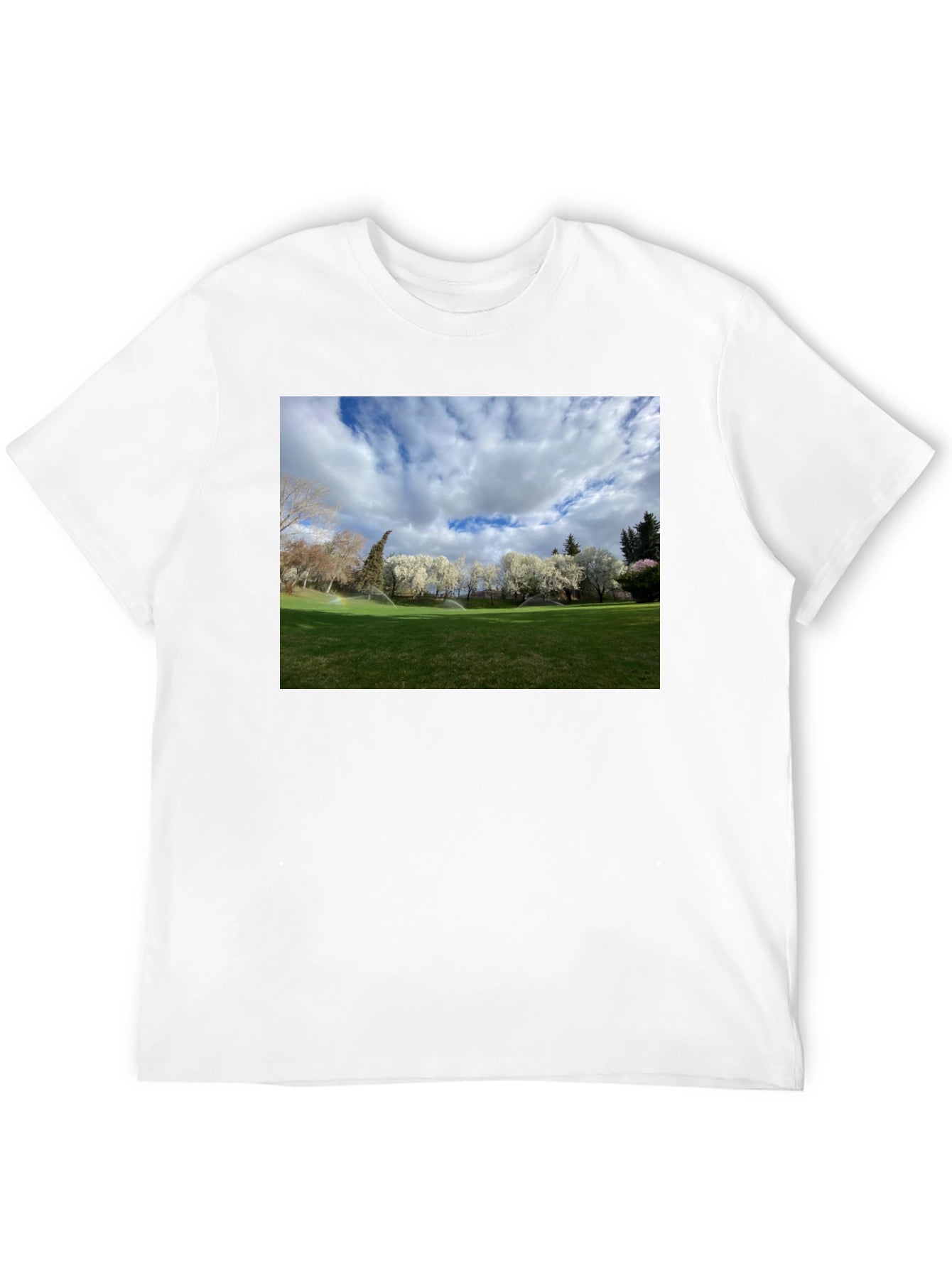 Scenic Landscape Graphic Tee - Cotton Comfort