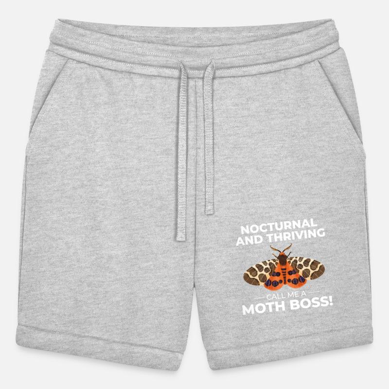 Moth Nocturnal Animal Insect Collector Entomology