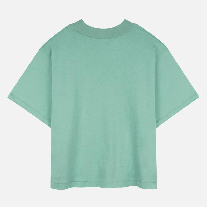 Street art Funky Koala Urban Rap Street