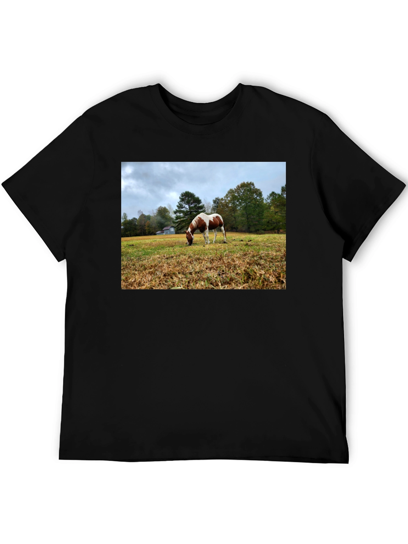 Horse Meadow Graphic T-Shirt