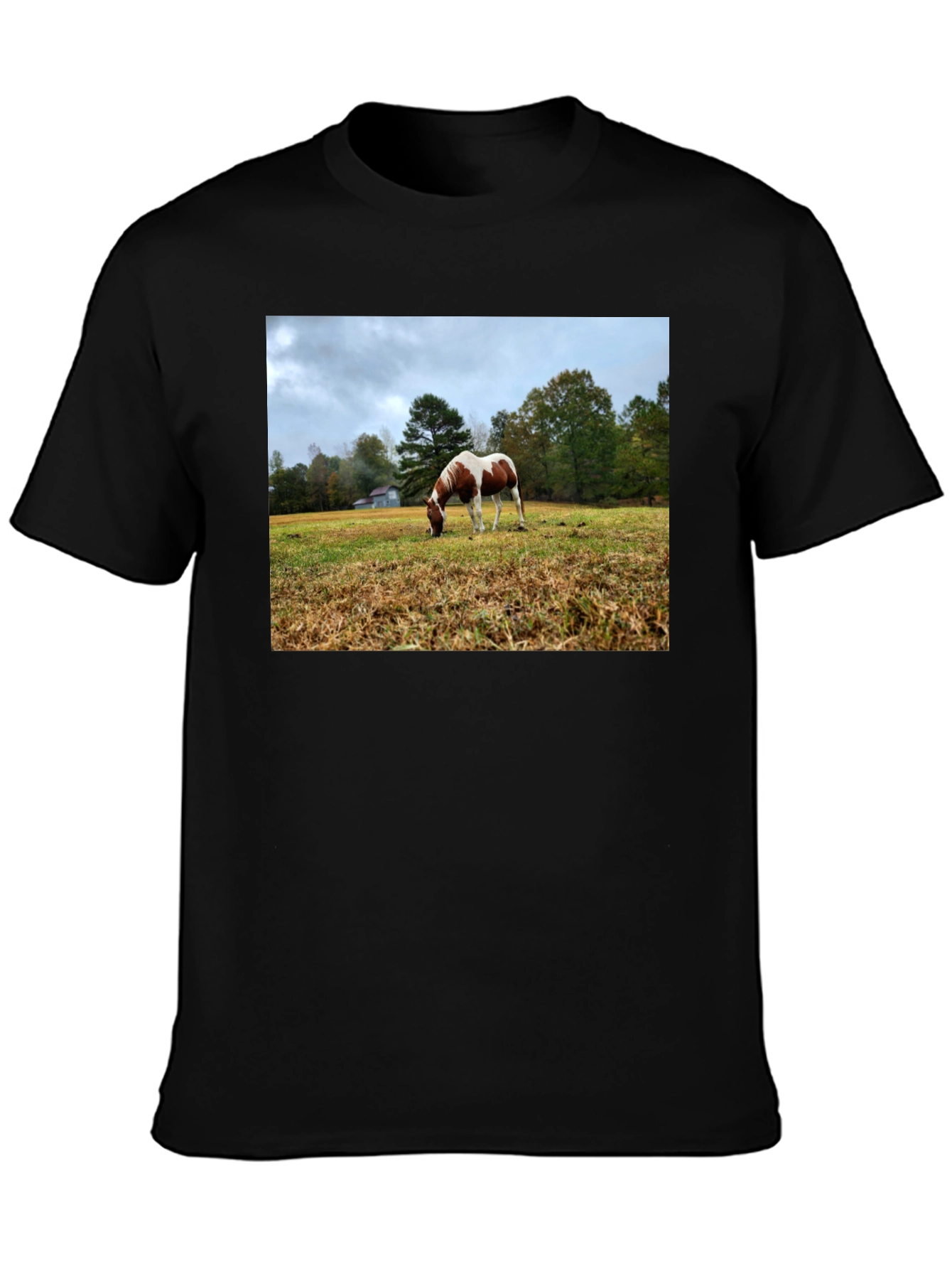 Horse Meadow Graphic T-Shirt