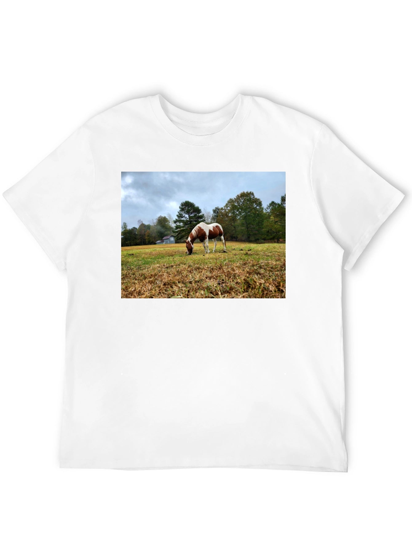 Horse Meadow Graphic T-Shirt
