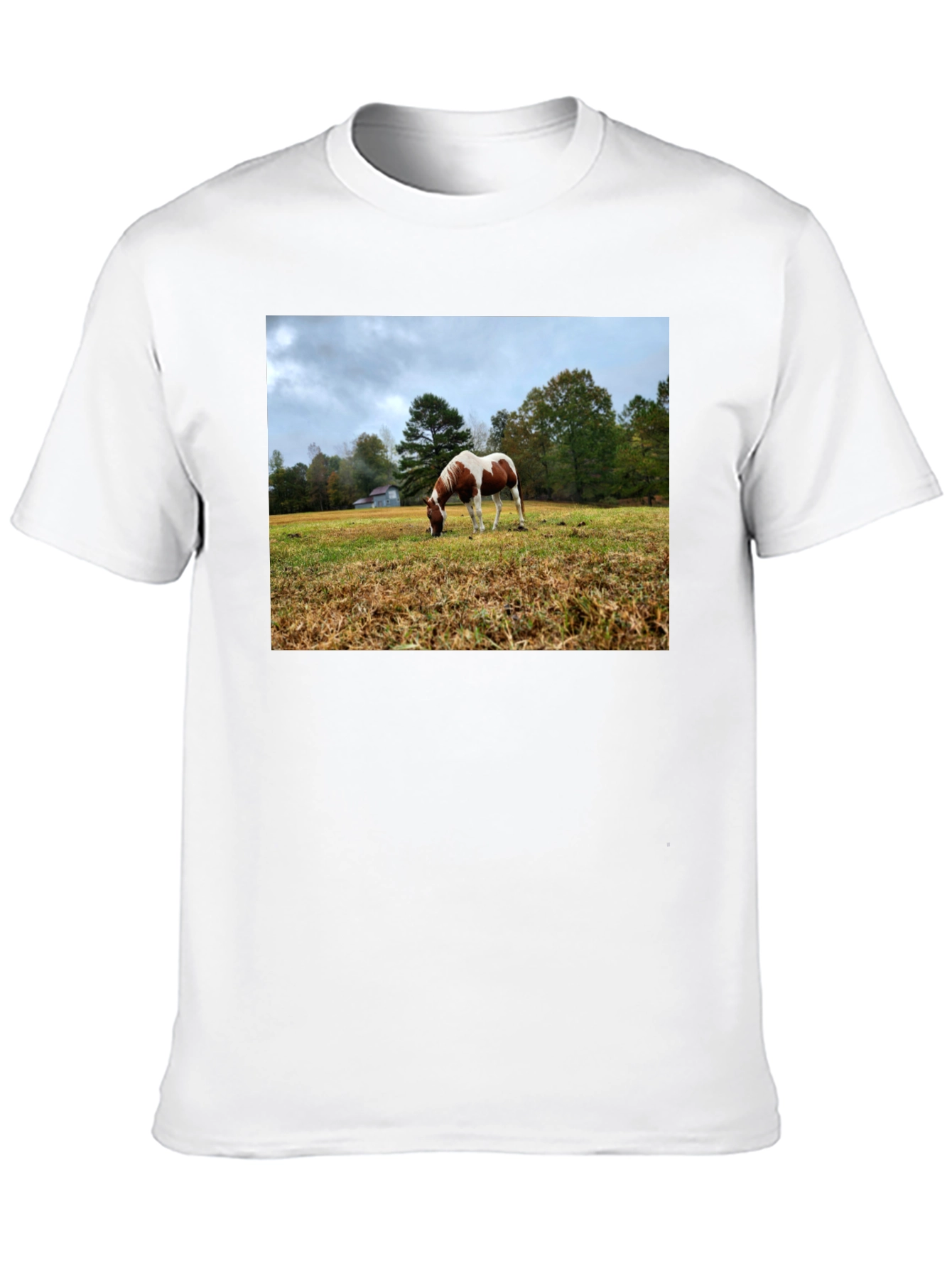 Horse Meadow Graphic T-Shirt