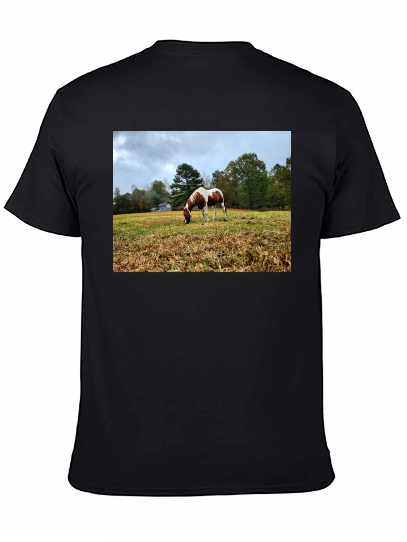 Horse Meadow Graphic T-Shirt