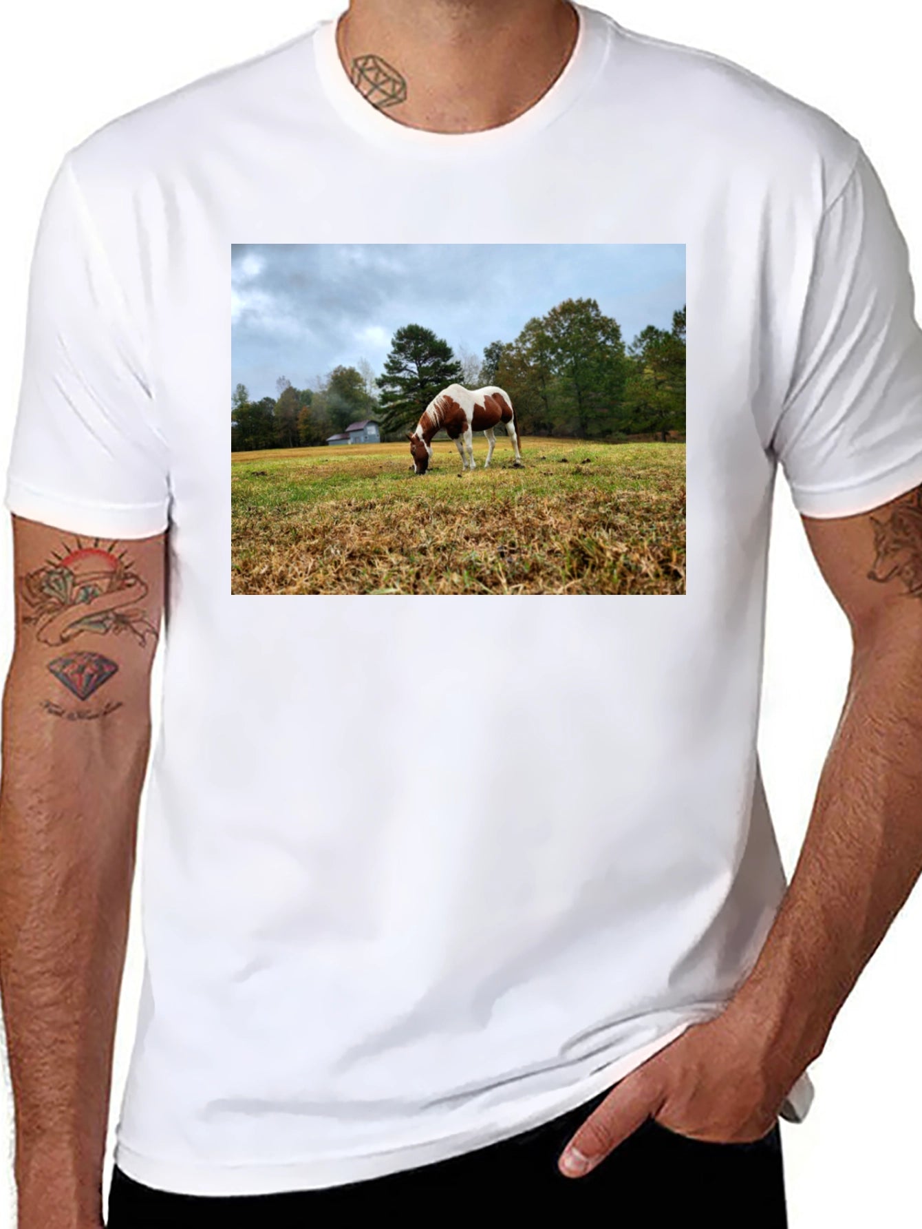 Horse Meadow Graphic T-Shirt