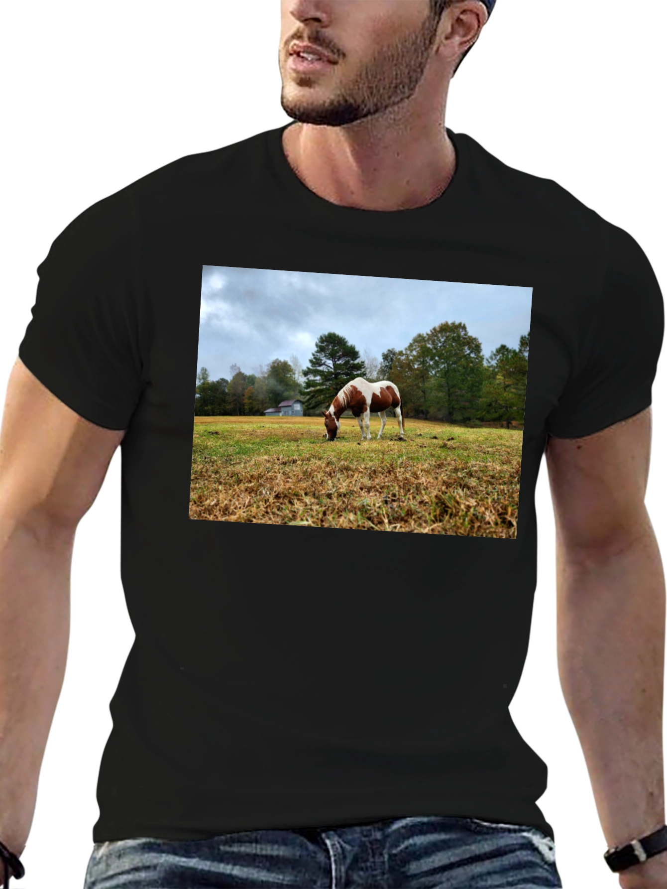 Horse Meadow Graphic T-Shirt