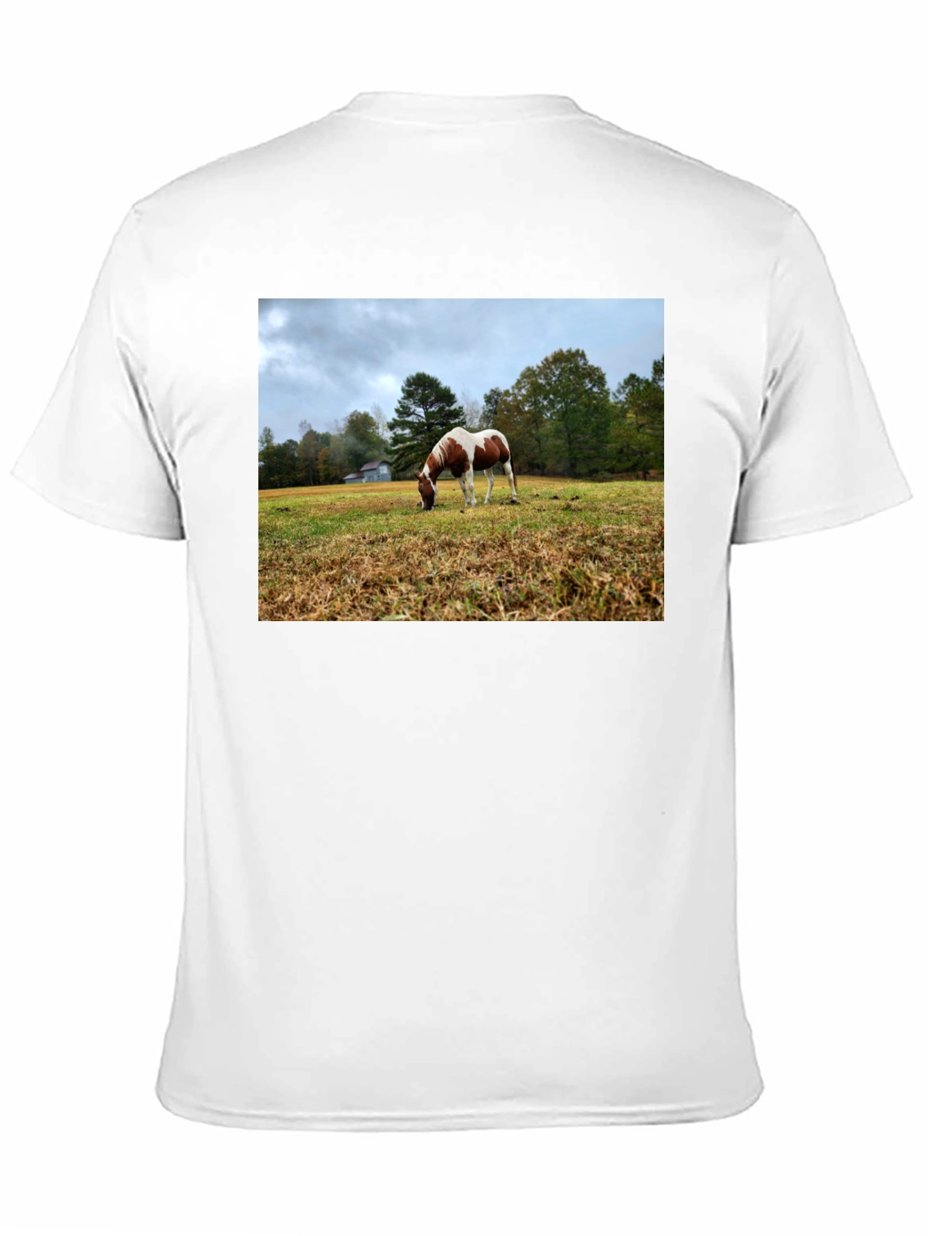 Horse Meadow Graphic T-Shirt