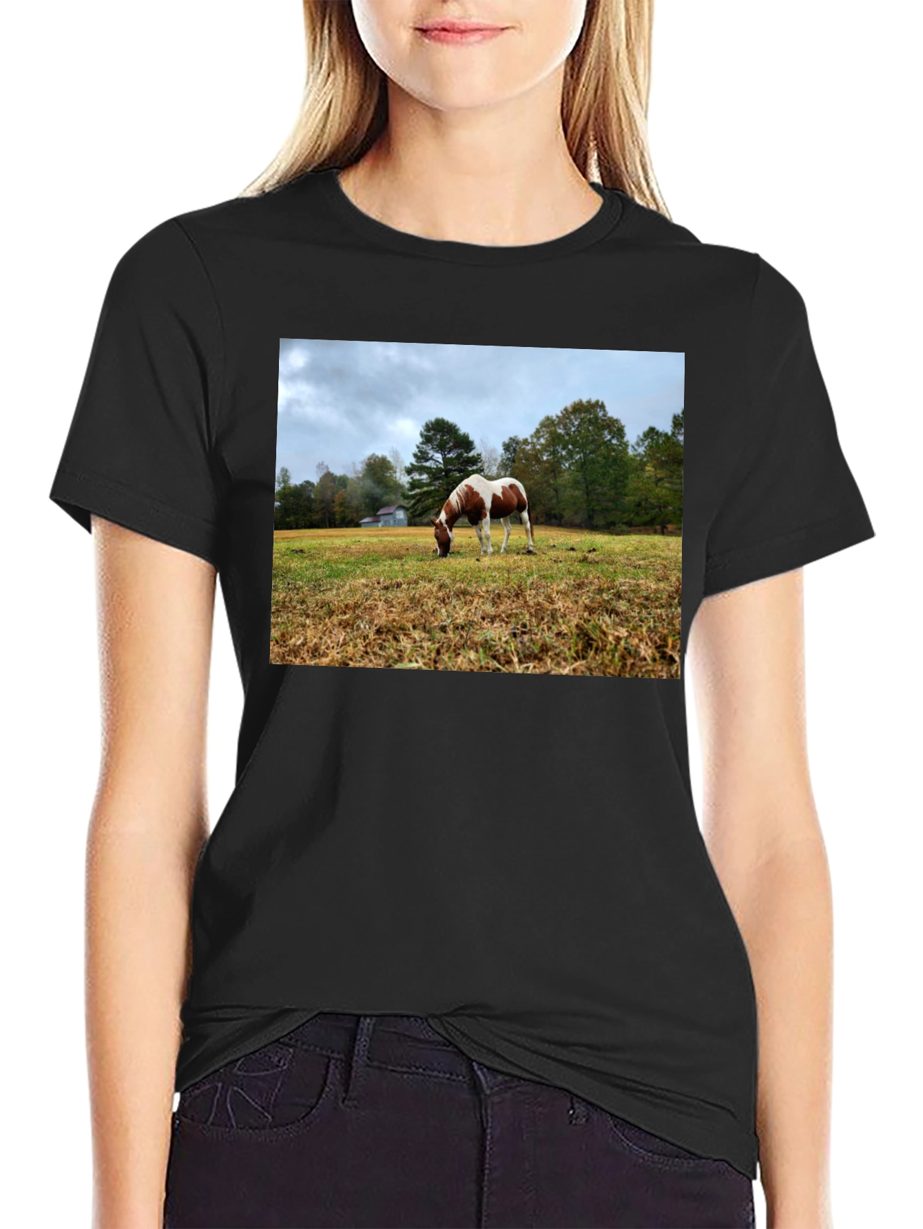 Horse Meadow Graphic T-Shirt