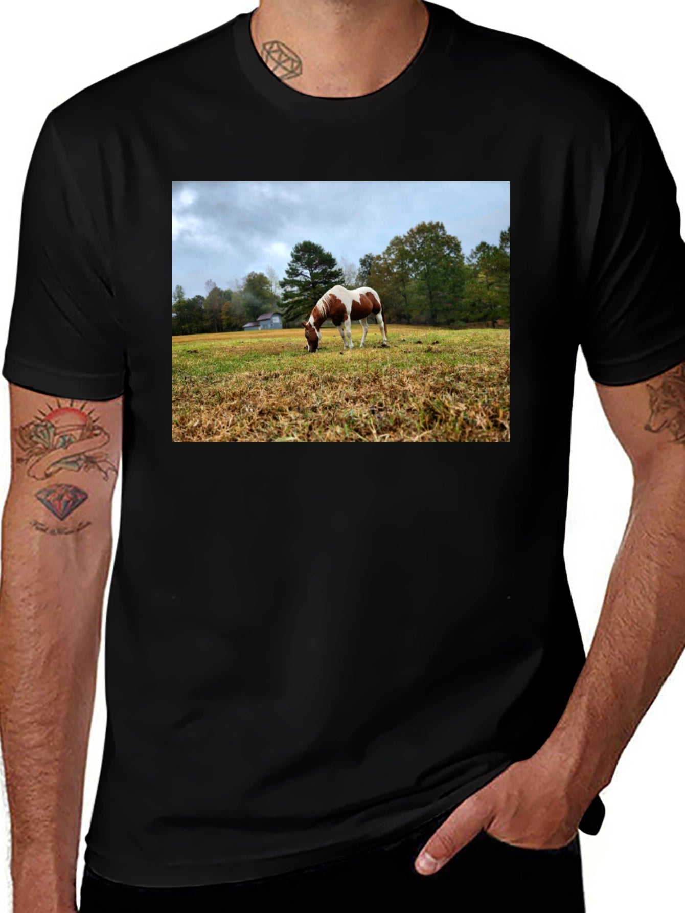 Horse Meadow Graphic T-Shirt