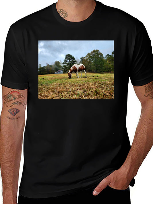 Horse Meadow Graphic T-Shirt