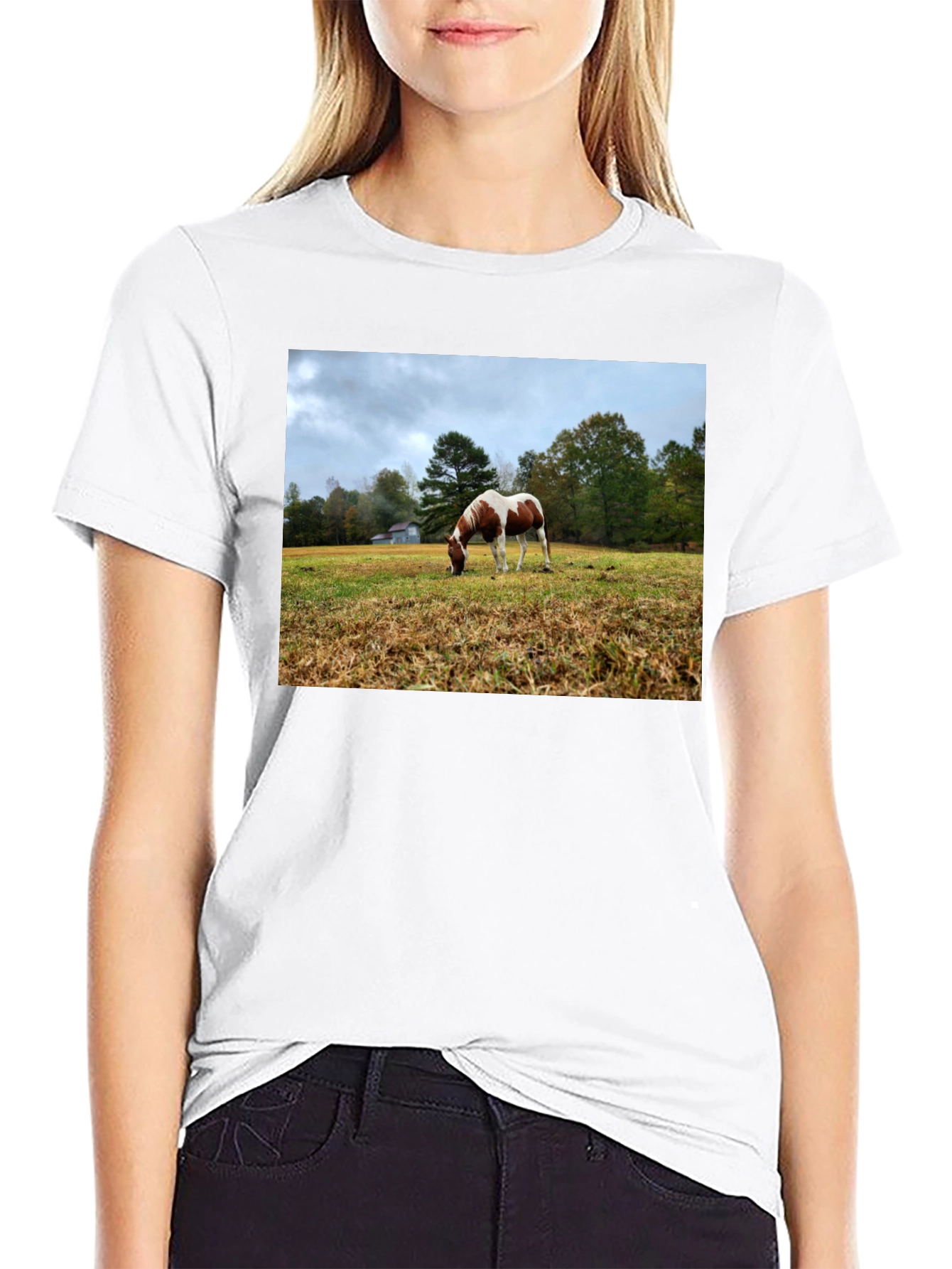 Horse Meadow Graphic T-Shirt