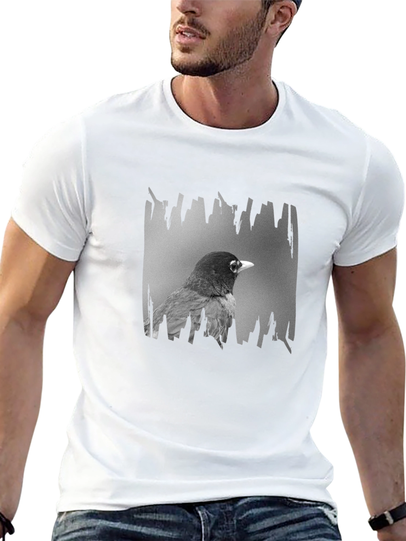 Robin Graphic Print Black T-Shirt