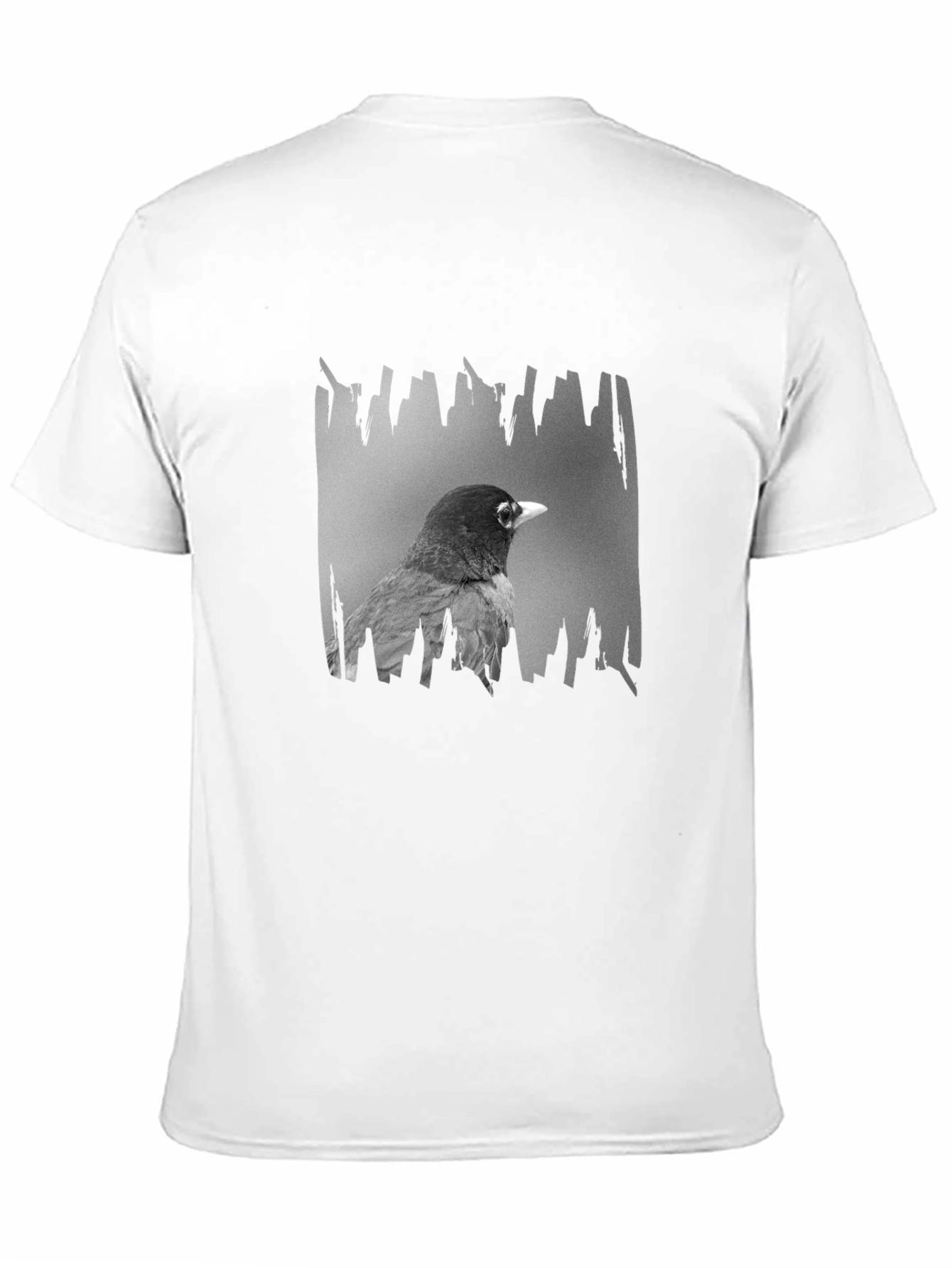 Robin Graphic Print Black T-Shirt