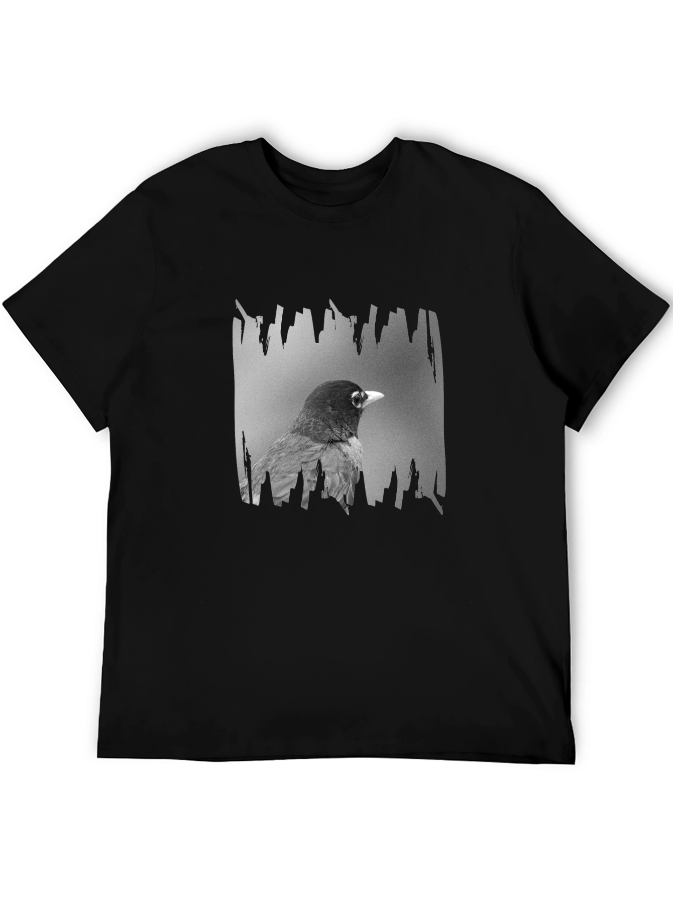 Robin Graphic Print Black T-Shirt