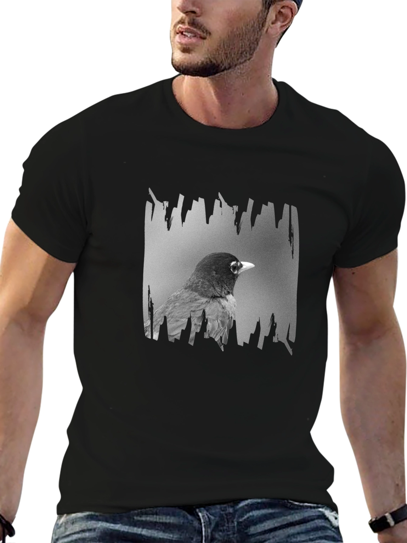 Robin Graphic Print Black T-Shirt