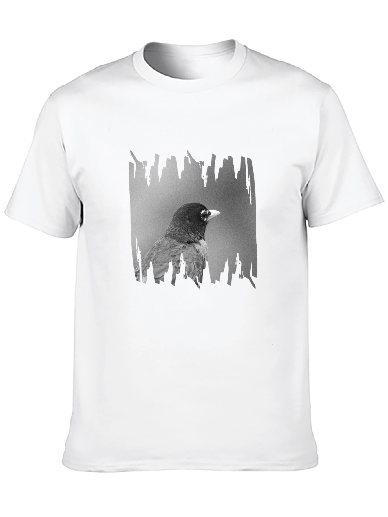 Robin Graphic Print Black T-Shirt