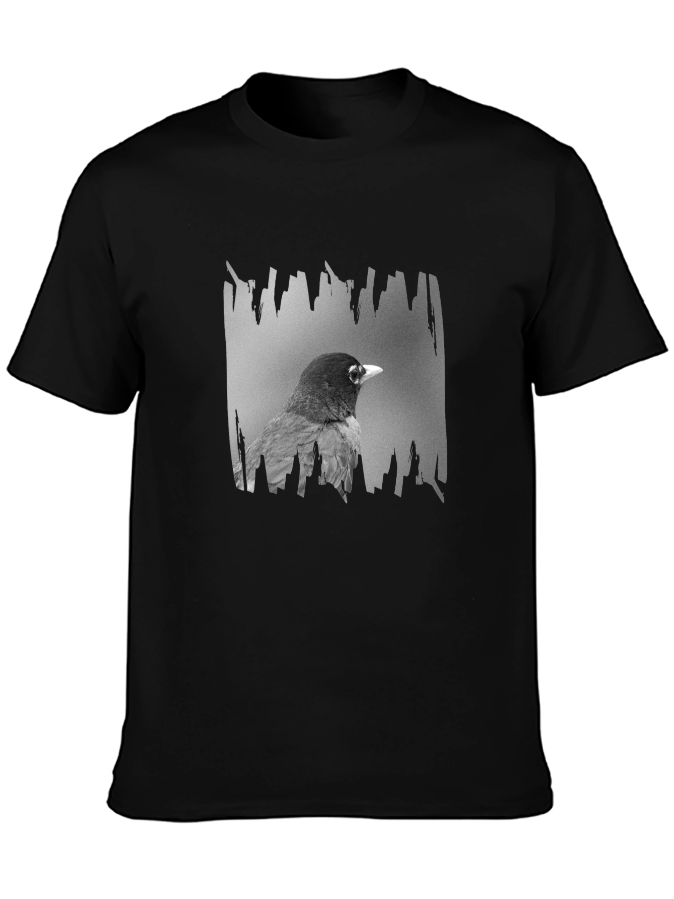 Robin Graphic Print Black T-Shirt