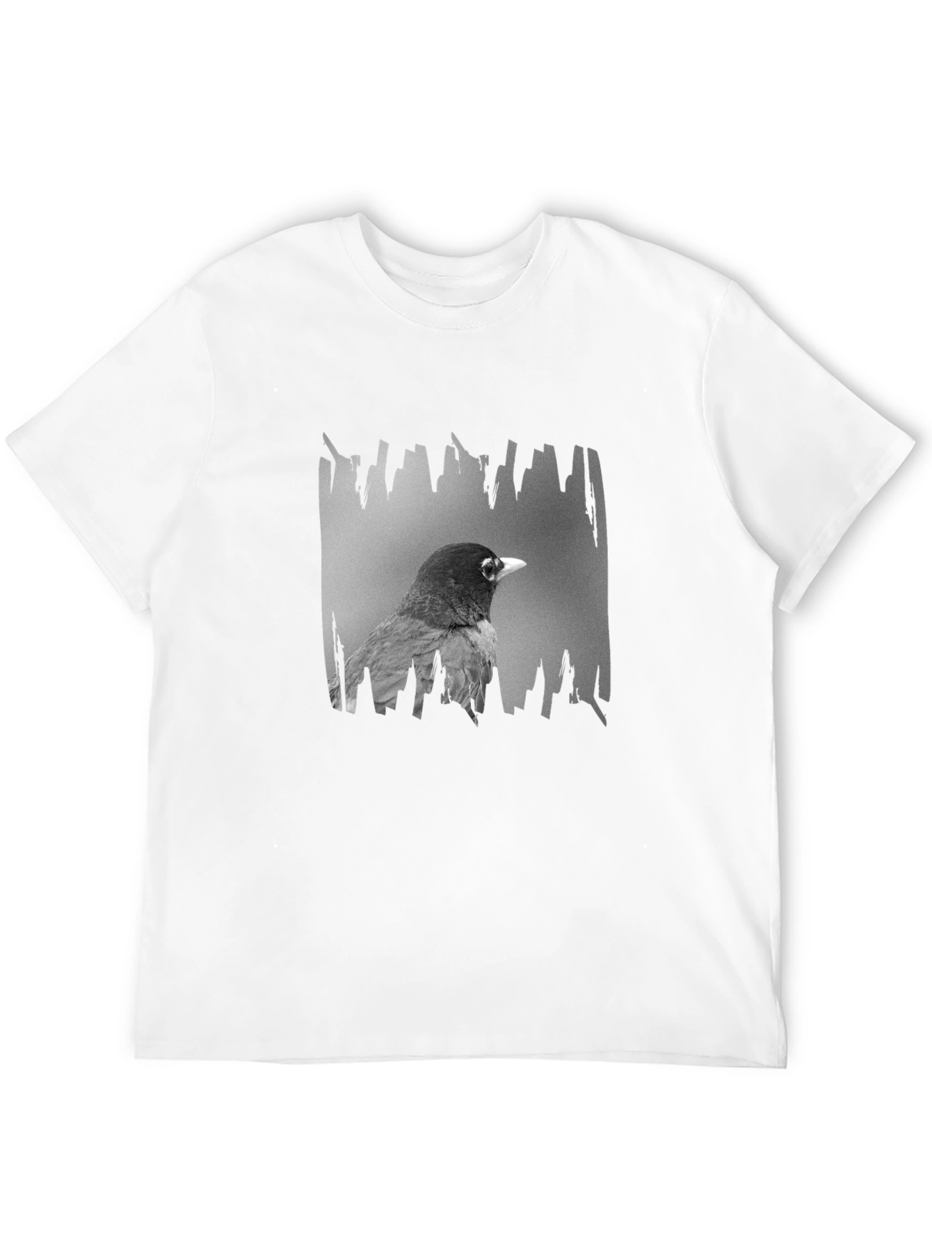 Robin Graphic Print Black T-Shirt