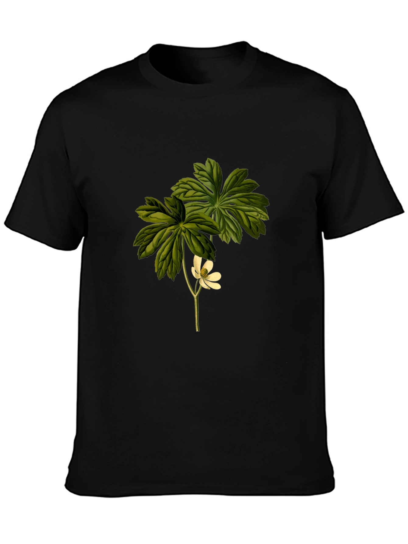 Botanical Flower Graphic Tee - Black