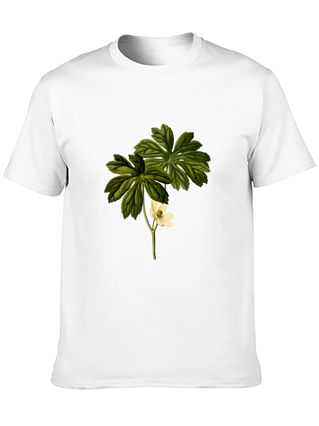Botanical Flower Graphic Tee - Black