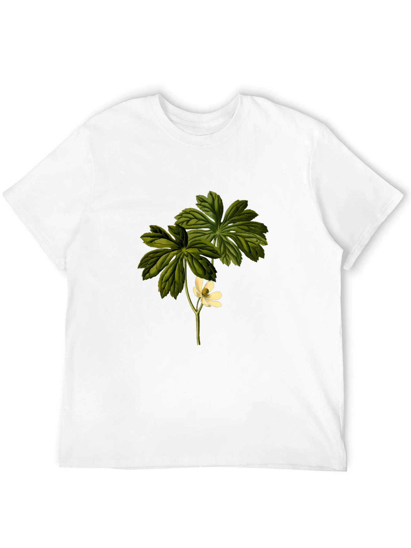 Botanical Flower Graphic Tee - Black