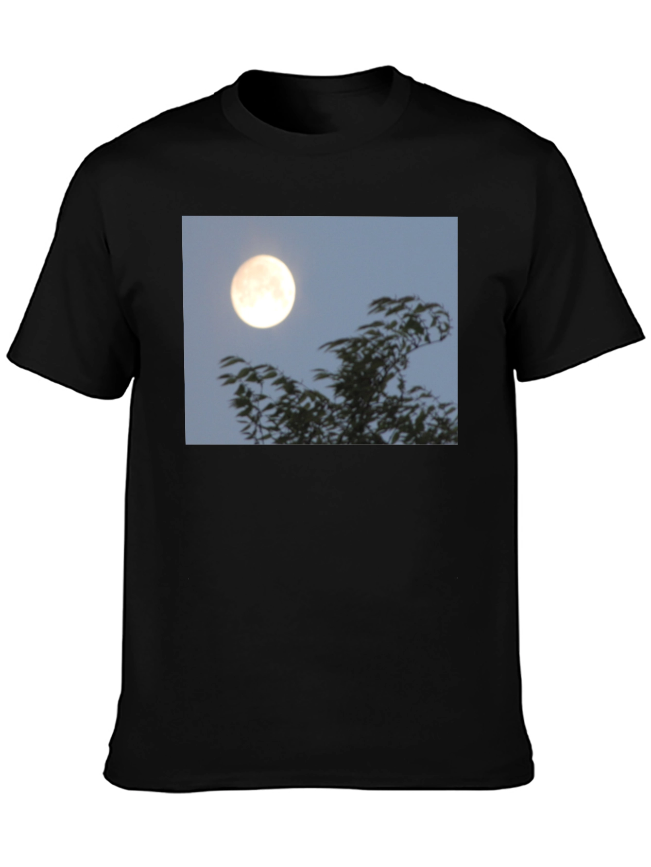 Moonlit Trees Graphic Tee - Black Cotton T-Shirt