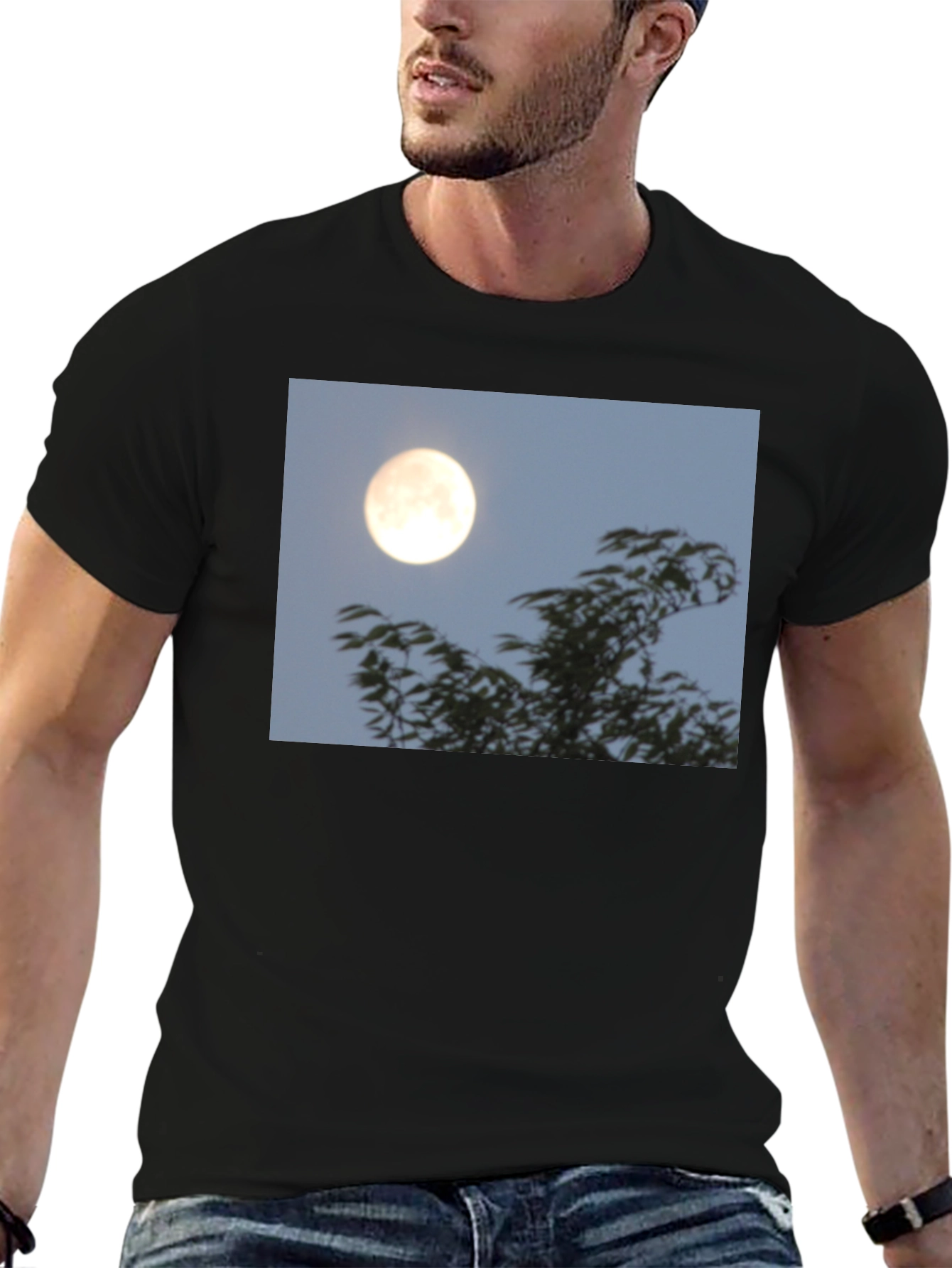 Moonlit Trees Graphic Tee - Black Cotton T-Shirt