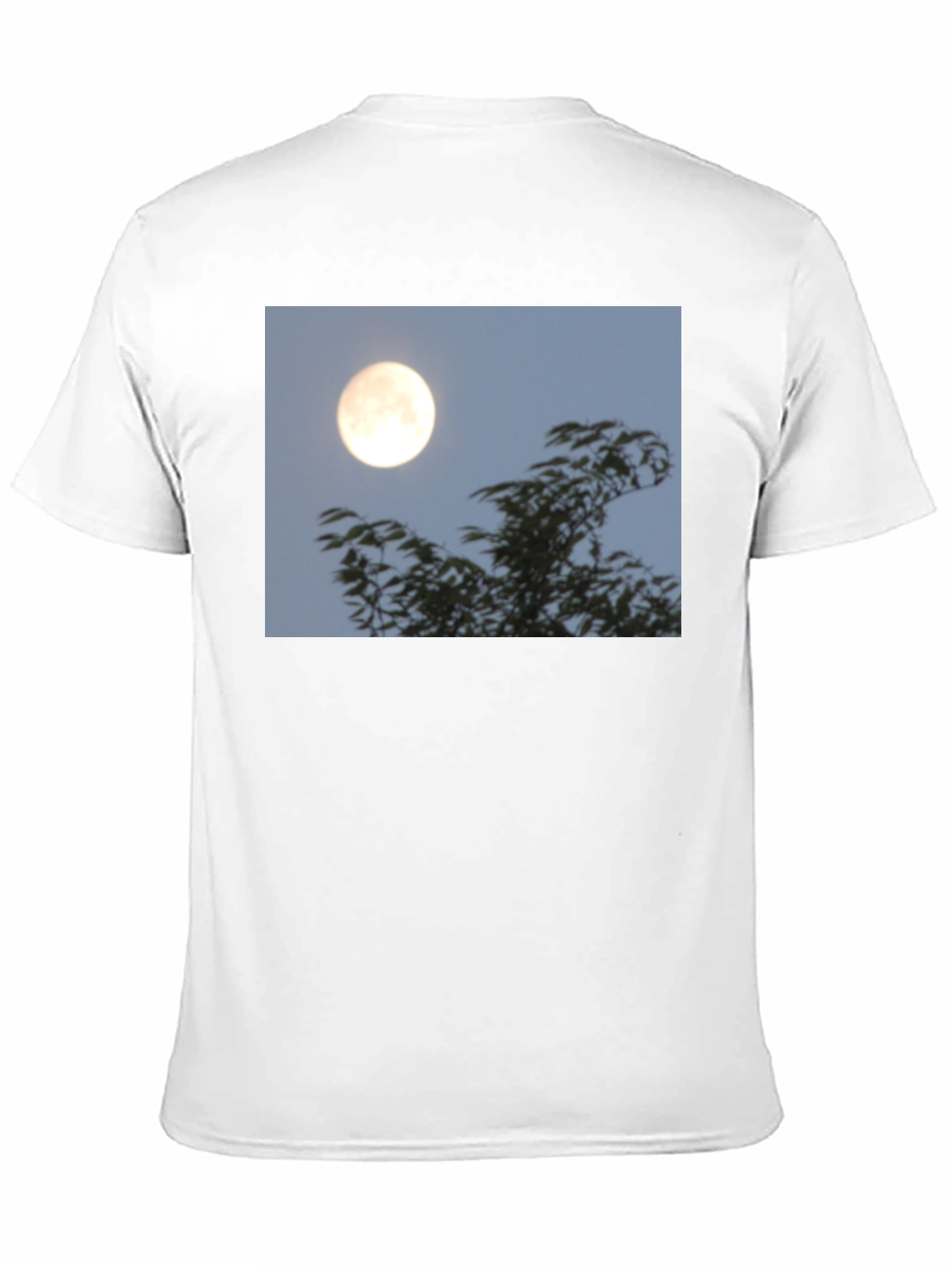 Moonlit Trees Graphic Tee - Black Cotton T-Shirt