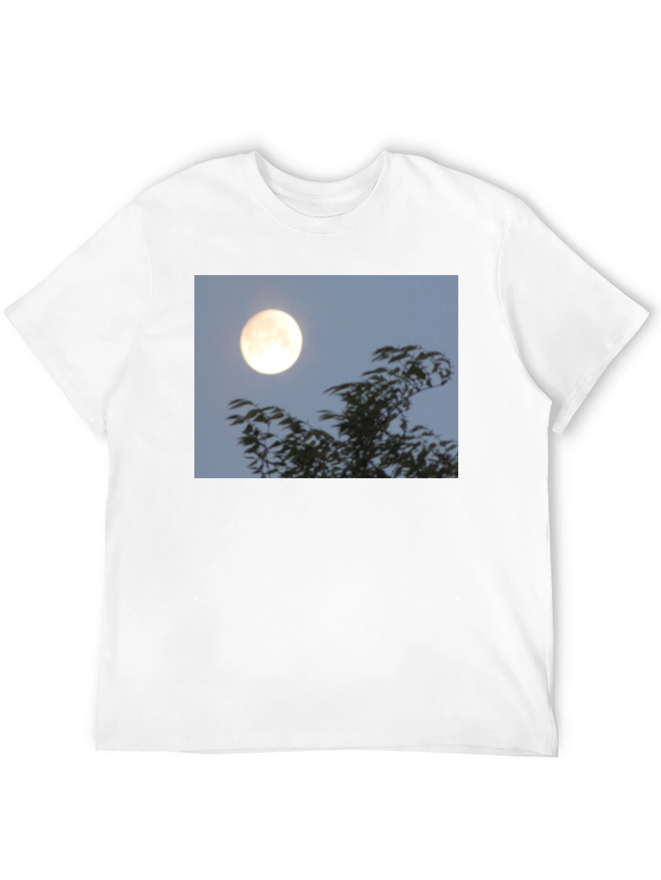 Moonlit Trees Graphic Tee - Black Cotton T-Shirt