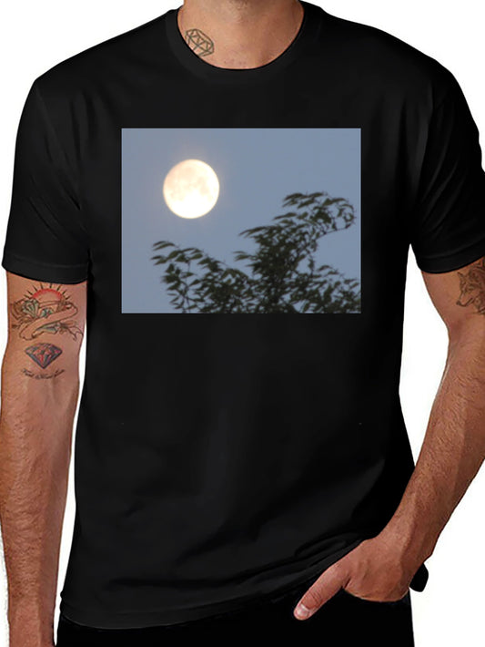 Moonlit Trees Graphic Tee - Black Cotton T-Shirt
