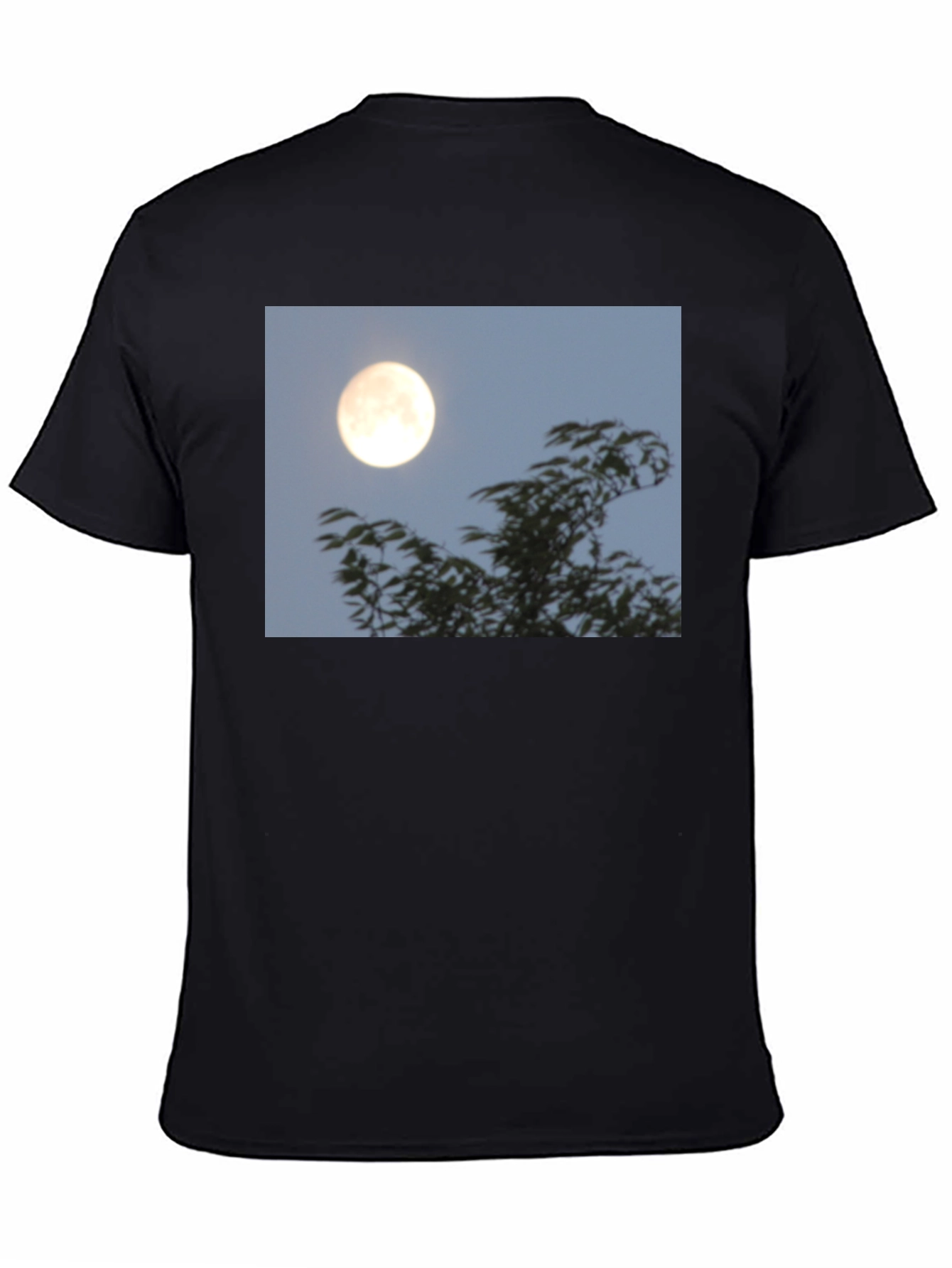 Moonlit Trees Graphic Tee - Black Cotton T-Shirt