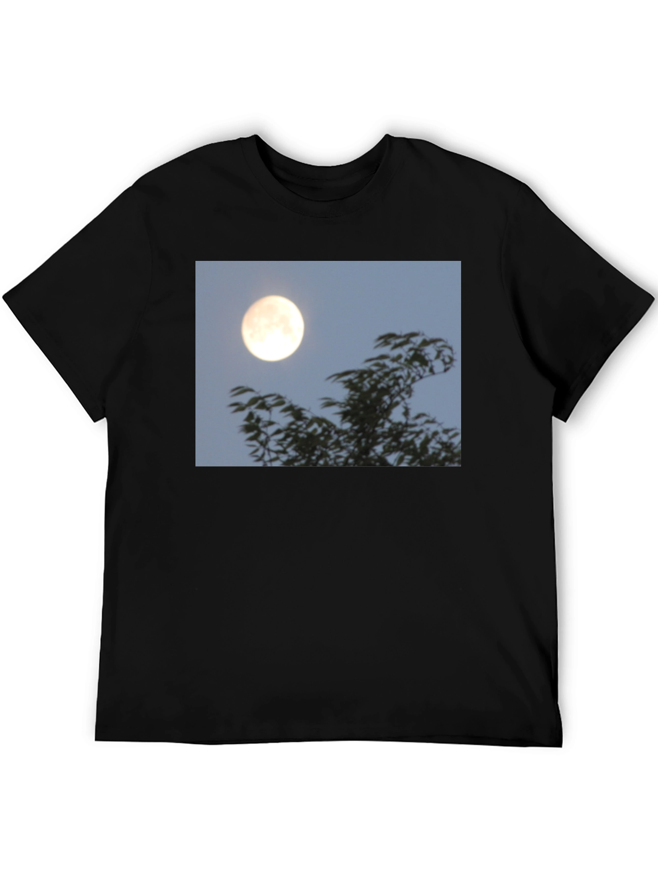 Moonlit Trees Graphic Tee - Black Cotton T-Shirt
