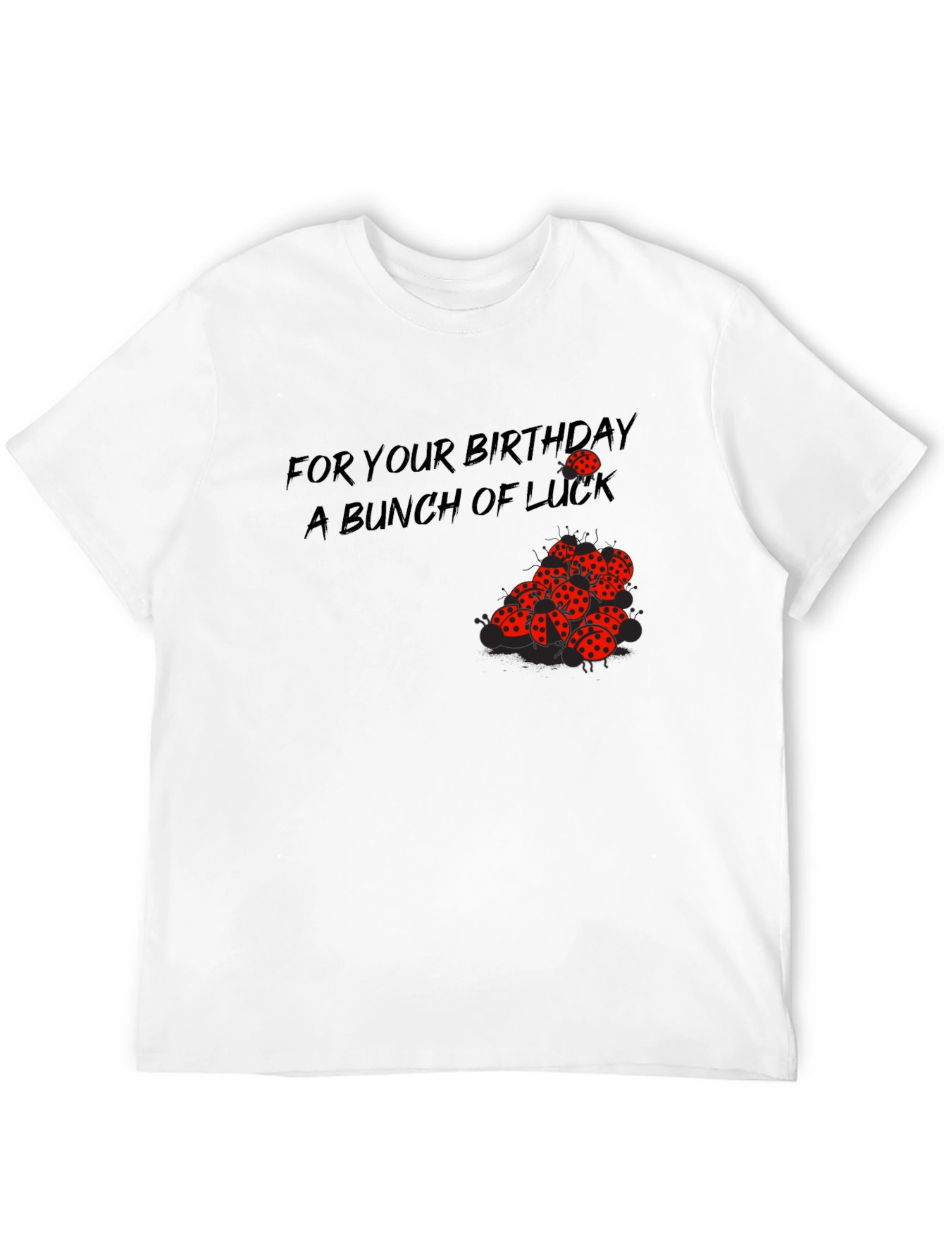 Birthday Luck T-Shirt - Ladybug Graphic Tee
