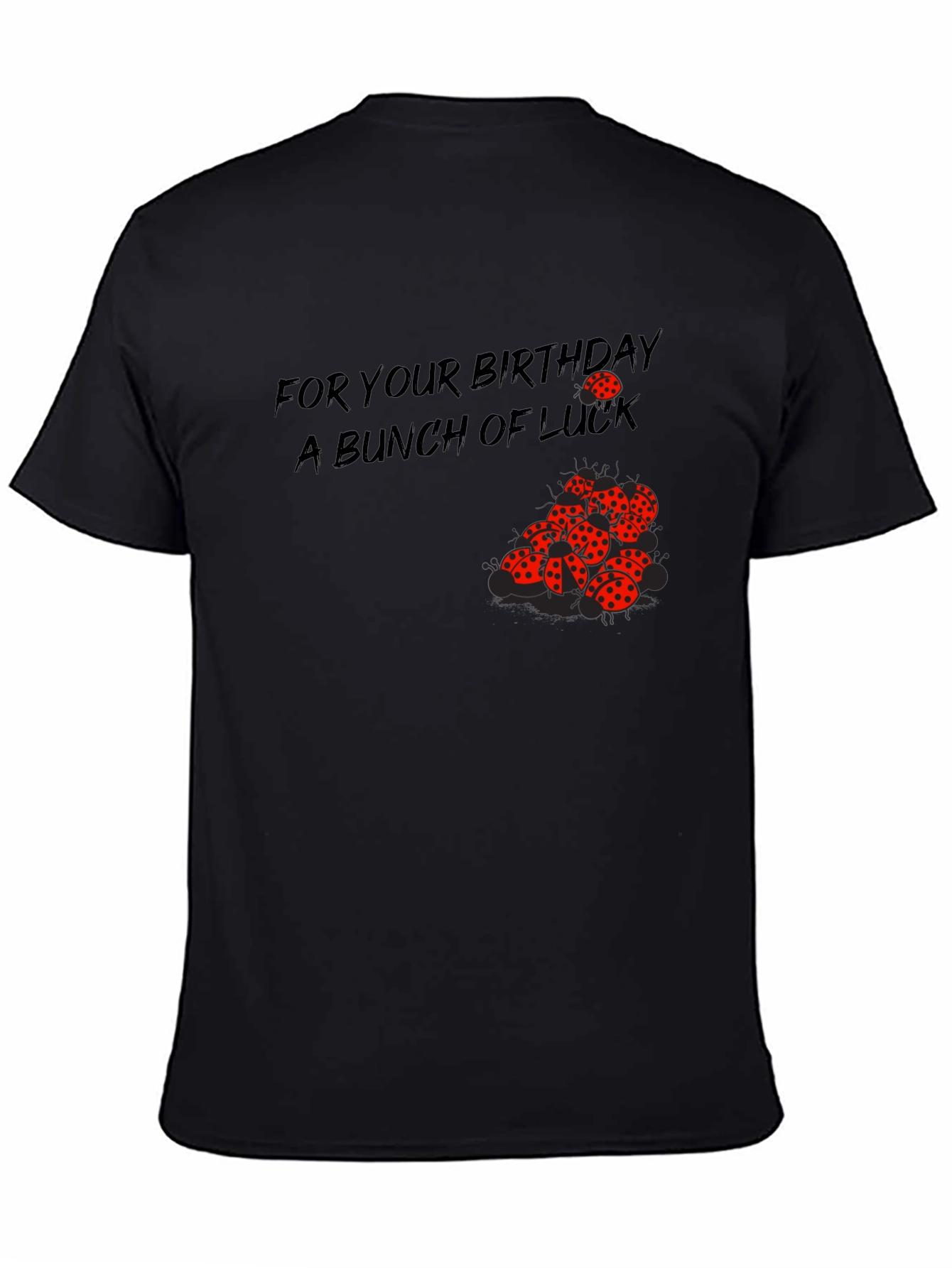 Birthday Luck T-Shirt - Ladybug Graphic Tee