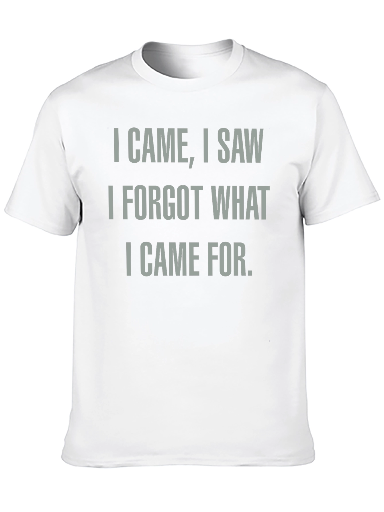 Funny I Came I Saw I Forgot T-Shirt