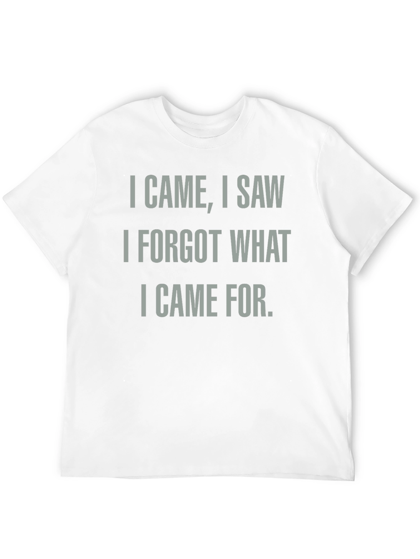 Funny I Came I Saw I Forgot T-Shirt