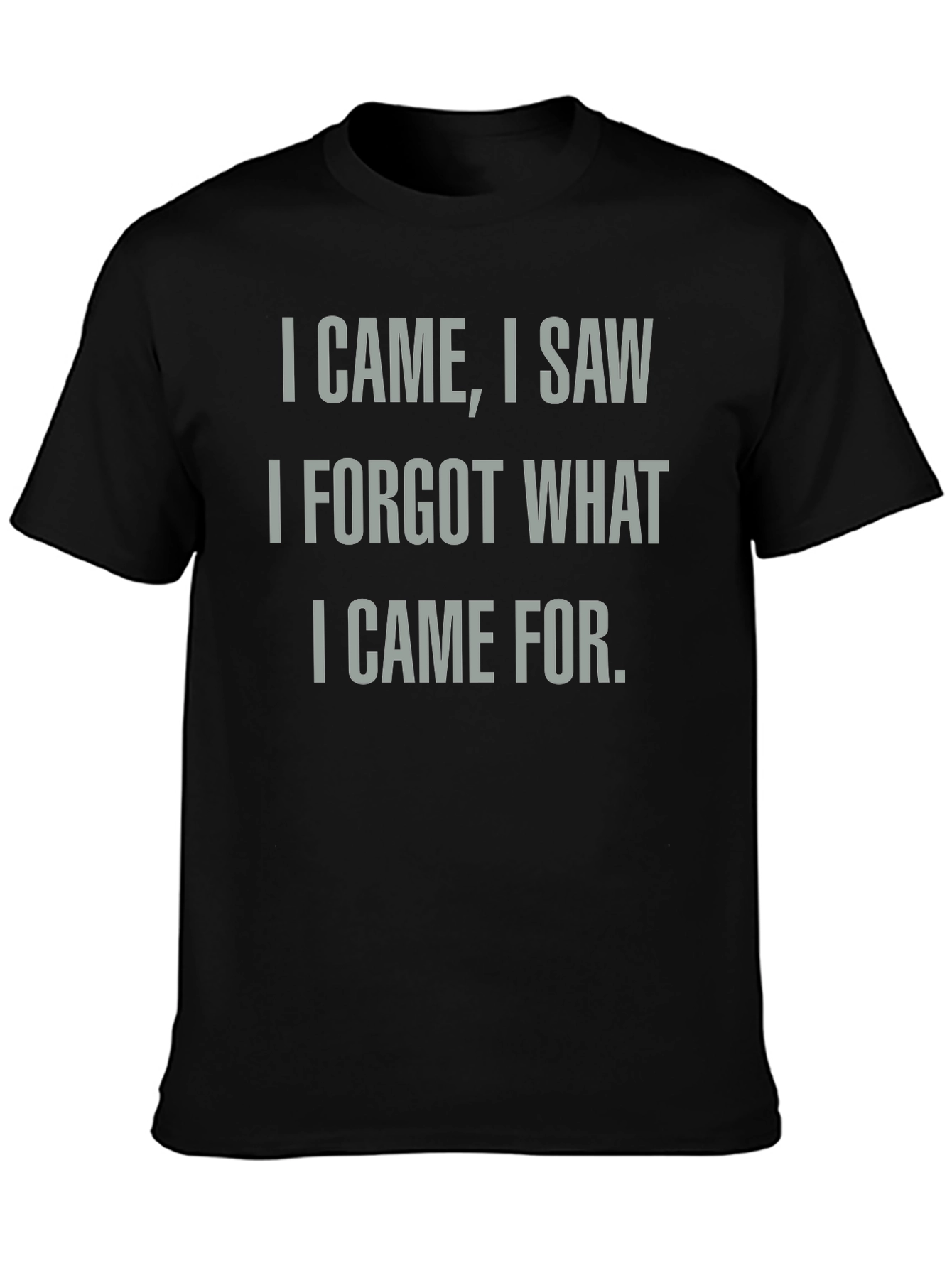 Funny I Came I Saw I Forgot T-Shirt