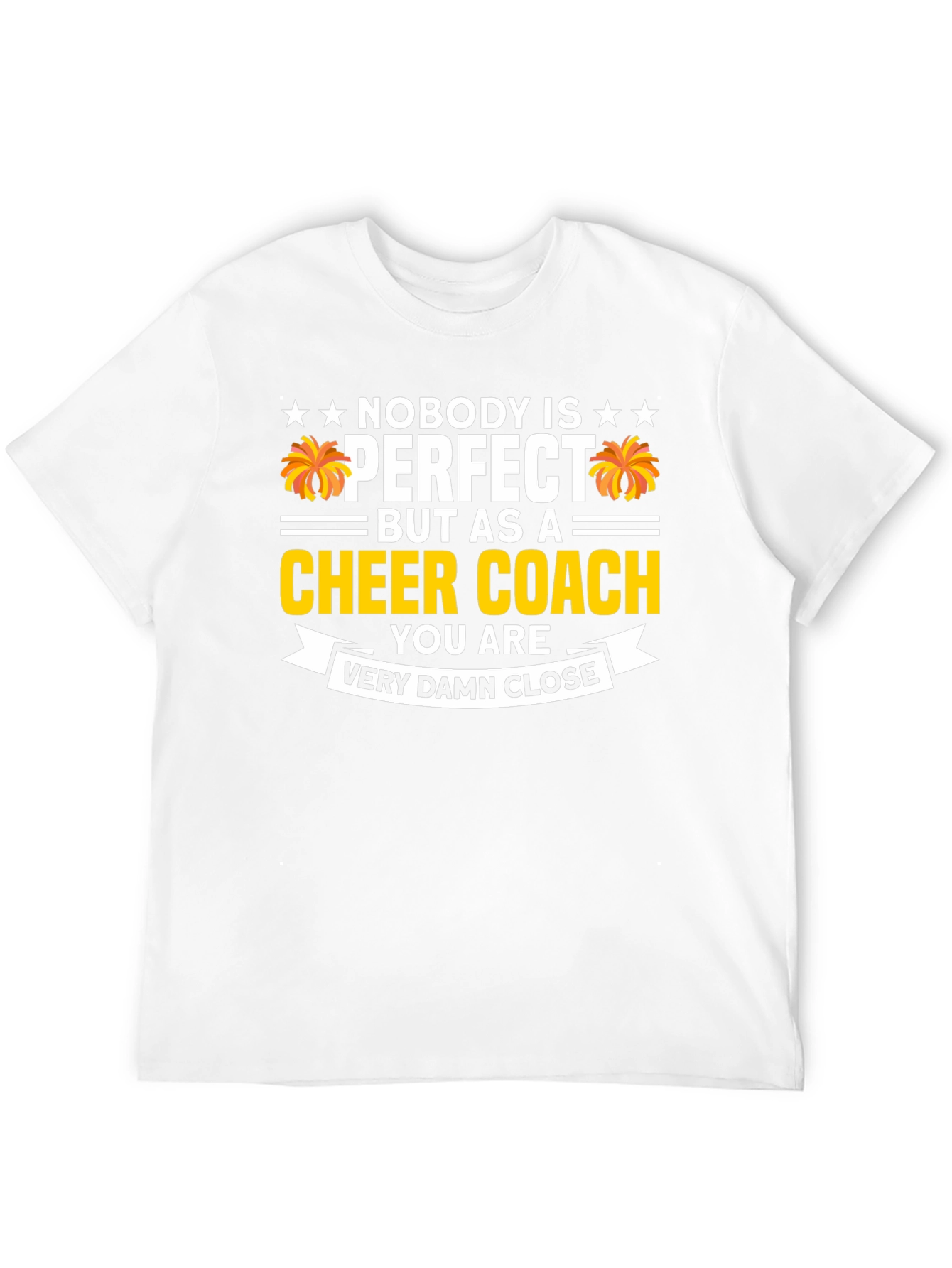 Cheer Coach T-Shirt - Nobody is Perfect