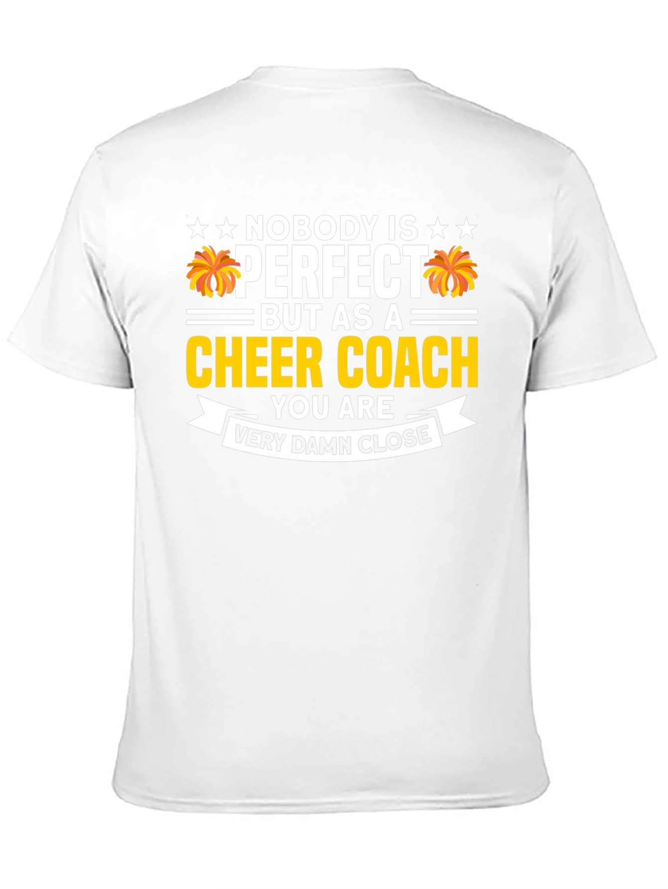 Cheer Coach T-Shirt - Nobody is Perfect