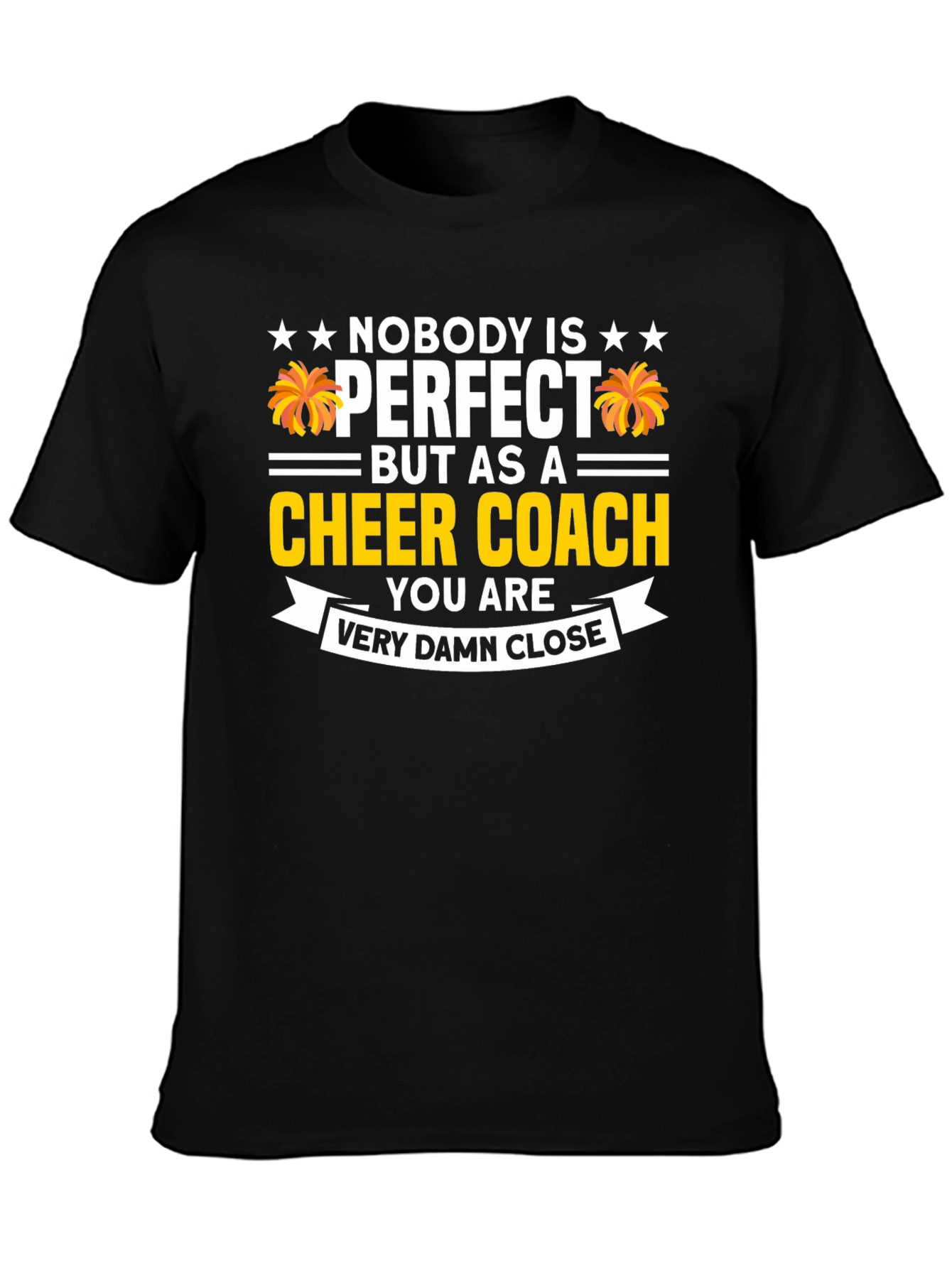 Cheer Coach T-Shirt - Nobody is Perfect