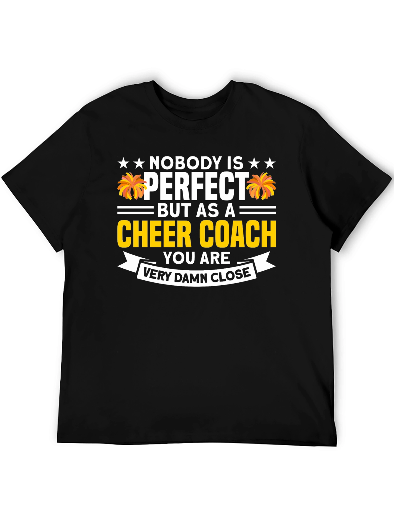 Cheer Coach T-Shirt - Nobody is Perfect