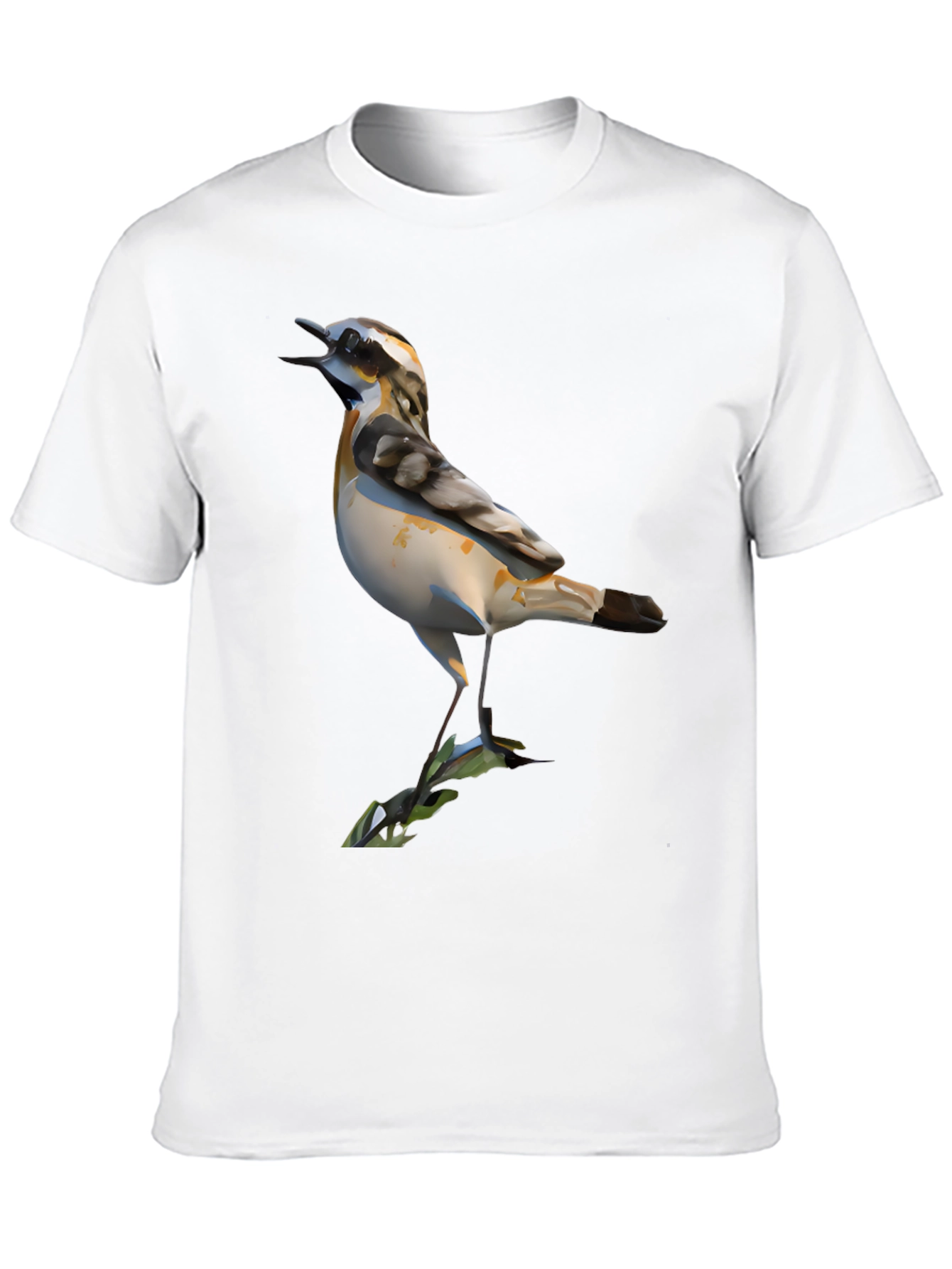Bird Graphic Black T-Shirt for Men