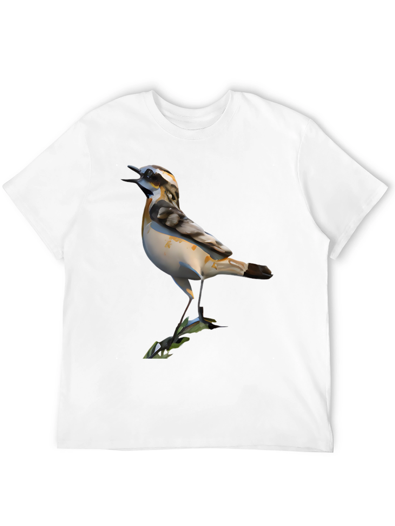 Bird Graphic Black T-Shirt for Men