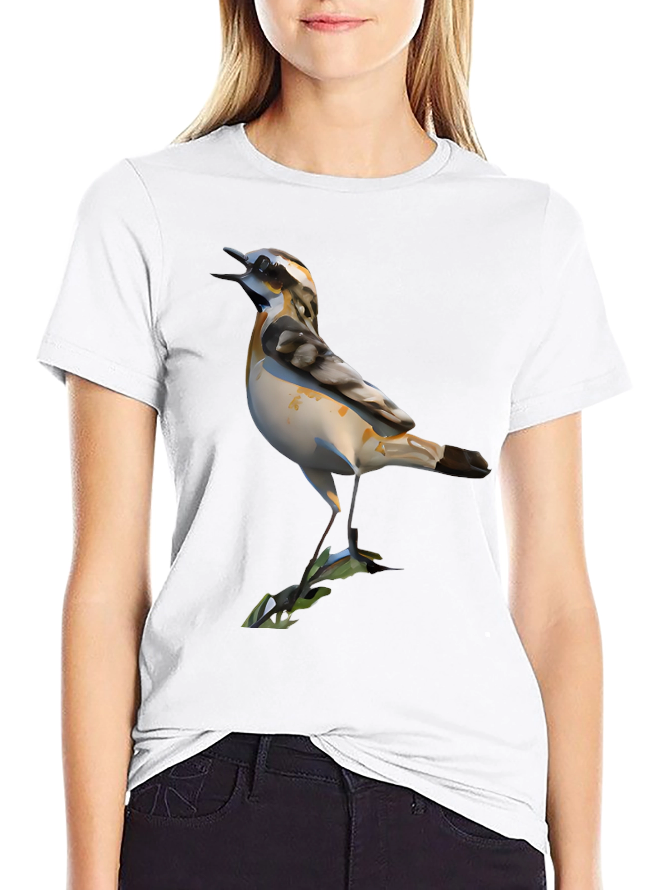 Bird Graphic Black T-Shirt for Men