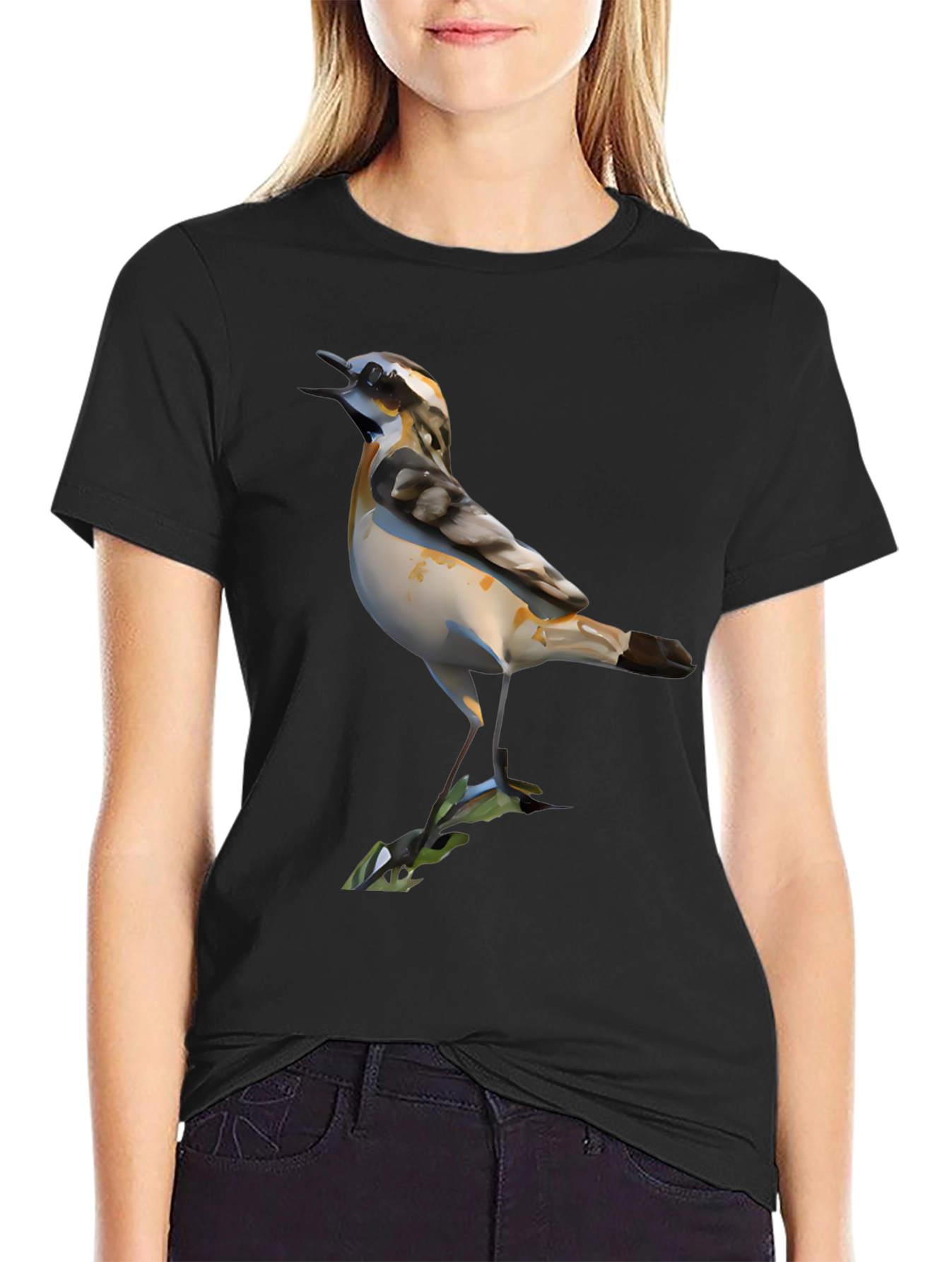 Bird Graphic Black T-Shirt for Men