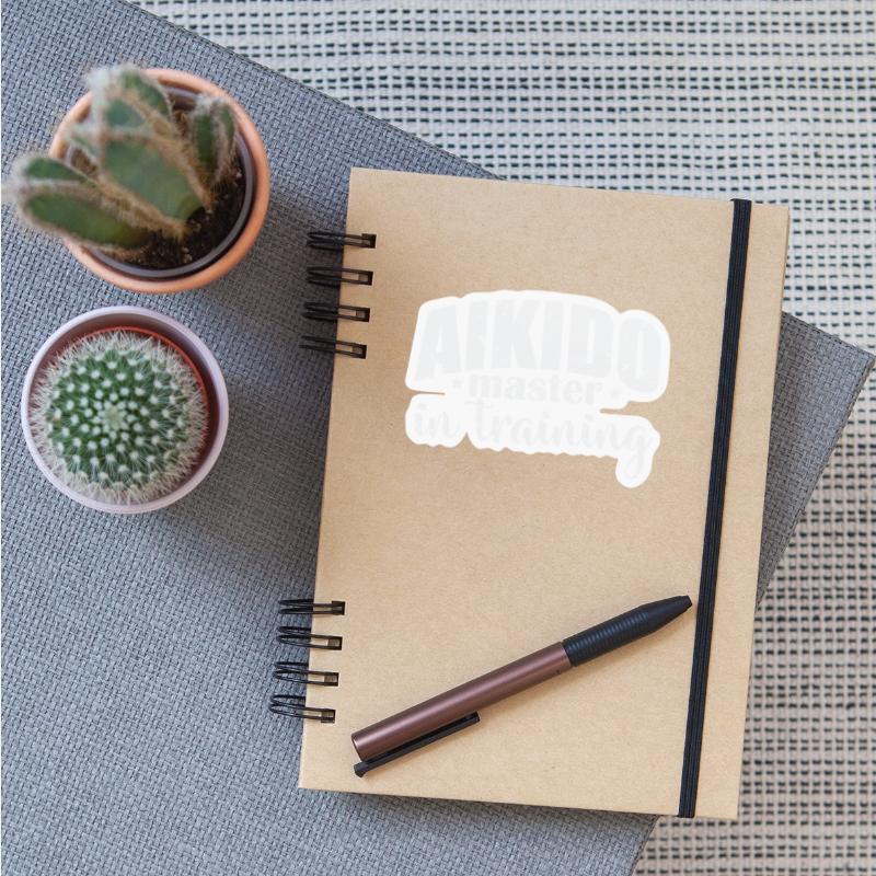 Aikido Master in Training Martial Arts